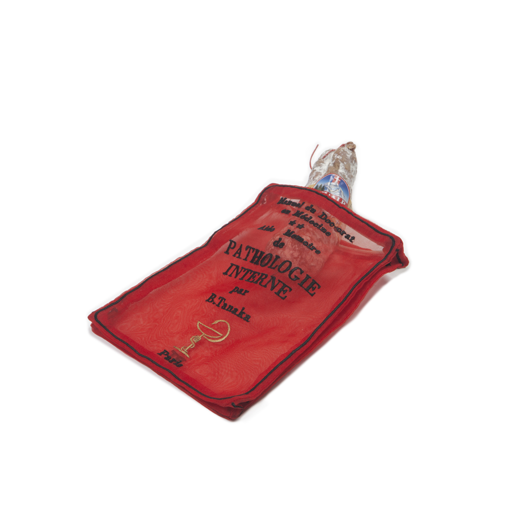 pathologie-pouch-organza-Brigitte-Tanaka1