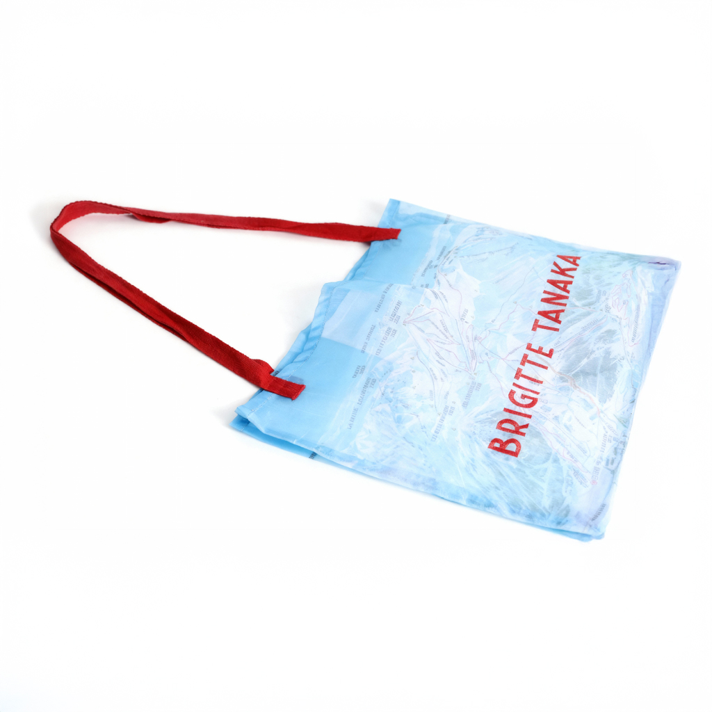 pistes-ski-organza-bag-Brigitte-Tanaka
